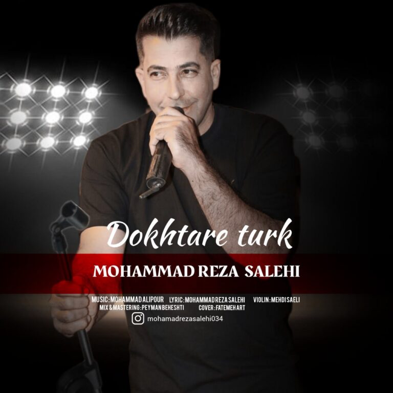 دانلود آهنگ محمدرضا صالحی دختر ترک